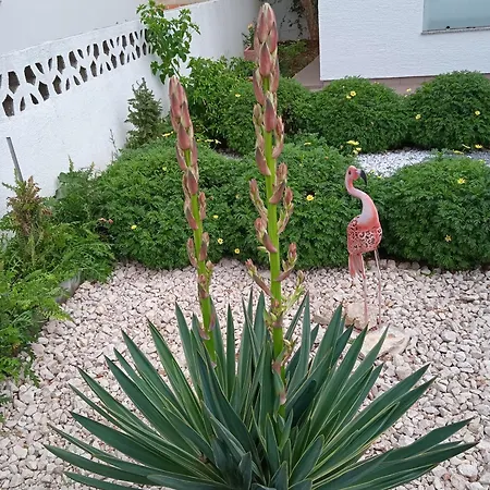 With Parking Space Pirovac, Sibenik - 15320 * Pirovac