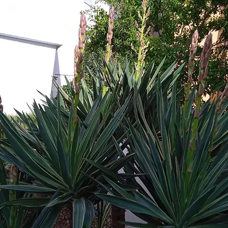 Apartman With Parking Space Pirovac, Sibenik - 15320