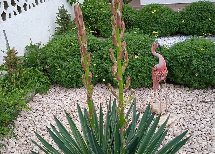 With Parking Space Pirovac, Sibenik - 15320 * 피로바츠