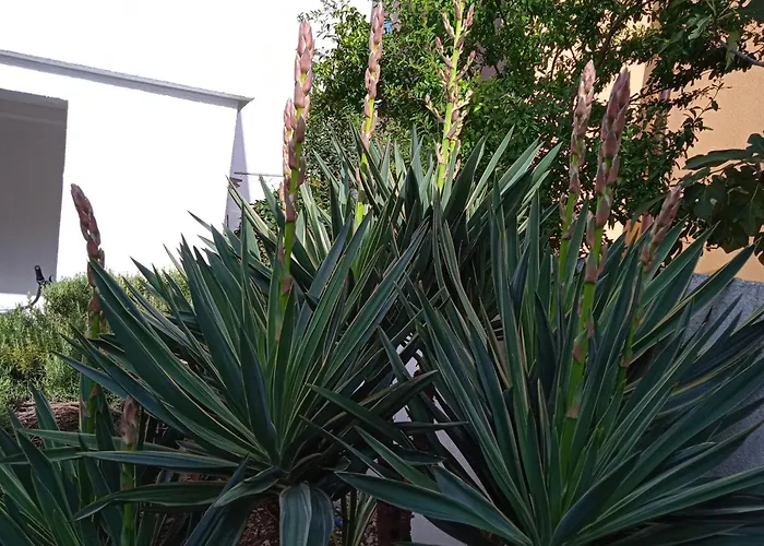 아파트 With Parking Space Pirovac, Sibenik - 15320