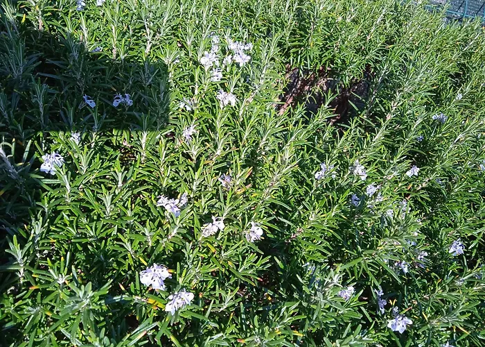 With Parking Space Pirovac, Sibenik - 15320 아파트 *